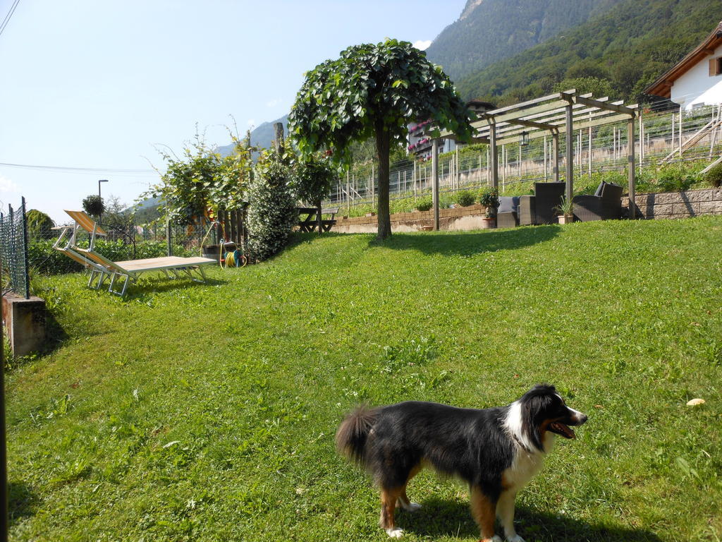 Haus Tirol Apartment Caldaro Ngoại thất bức ảnh